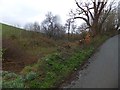 Snowdrops and felled trees in the valley at Honeyford