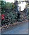 Steps from postbox to house, Church Stretton