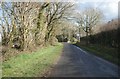 View along Ashley Road