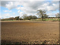 Fields west of Bridge Road