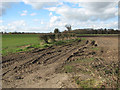 Track into fields west of Bridge Road