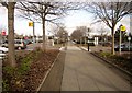 Pedestrian crossing, The Mall