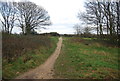 Sandlings Walk, Rushmere Heath