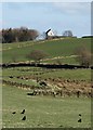 View across fields to the tower house on Blackbrook Road