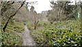 Footpath below Quarry Hills