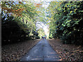 Road  at  Elmswell, shortly  becomes  a  track