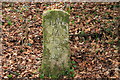 Marker stone in Greatrock Copse