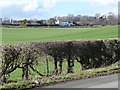 Farmland east of Field Cottage, Honey Hill