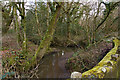 The view down the river Yeo from Smallcombe bridge