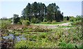 Pit House pond at Wigpool Nature Reserve