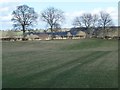 Trees on a field boundary