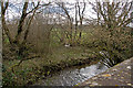 Looking up the River Yeo from Yeo Mill Bridge