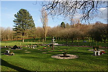 SD4663 : Grizedale Gardens at Lancaster & Morecambe Crematorium by Bill Boaden
