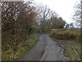 Road and hedges below Woodbrooke