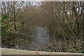 Looking down the river Yeo from Tout