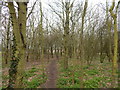 Entrance to "Round Wood" in Gippeswyk Park