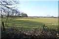 TQ5609 : Flat fields near Knockhatch Farm by Julian P Guffogg