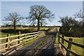 The track to Devonhurst Farm