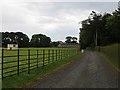 Glenarm Estate road