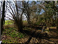 Byway west of Four Marks heading towards the A31