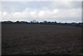 Farmland by Church Lane