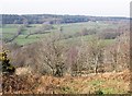 View towards Sampford Common