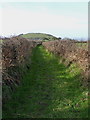 A section of the Welsh Coast Path