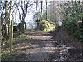 Footpath on Conigar Knob