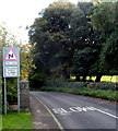 Bends ahead on Cleeve Road, Frenchay