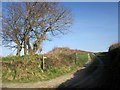 Footpath to Stilesweek