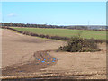 SK6557 : Ploughed field and bonfire under construction by Oliver Dixon