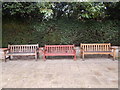 3 benches in Chantry Park