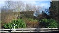 Trackside Vegetation