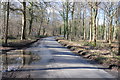 Road near Hailey Lodge