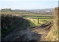 Footpath to Lamerton