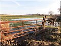 NS9570 : Flooded field,   North Couston by Richard Webb