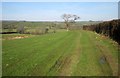 Field path to Lamerton