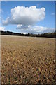 Arable field and cumulus cloud