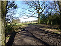 SJ8577 : Gate with National Trust sign at Windmill Wood by Raymond Knapman