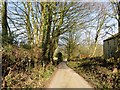 Bridleway near Hurst Green