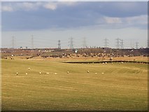 NT2566 : Field, Lothianburn by Richard Webb