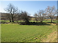 Farmland near Tarvie