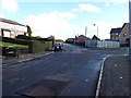 Speed bumps on Strone Crescent