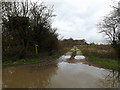 TM2496 : Footpath to Saxlingham Grove by Geographer