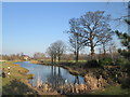 Lake in Cusworth Country Park