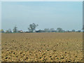 TL4605 : Ploughed field by Robin Webster