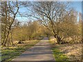 Path at Stanley Bank