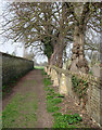 Meldreth: footpath by the churchyard