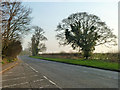 B1383 north of Stansted Mountfitchet