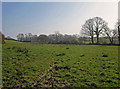 Boundary near Rhos-fach, Llantood